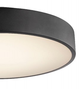 Потолочный светильник Wiss 41744-24S