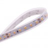 Светодиодная лента LUX DSG3120-24-WW-65