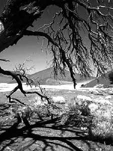 Торшер Hollywood HF190N