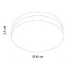 Потолочный светильник Opal 48403