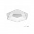 Потолочный светильник Luminous S1889/55 WH