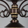 Потолочная люстра Fontelo OML-50407-05