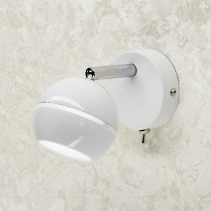 Спот Раймонд CL555510