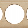 Рамка Legend WL15-frame-03