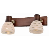 Спот Shayla TL3730Y-02BB