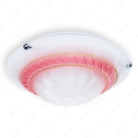 Настенно-потолочный светильник Clare TL9101Y-02PK
