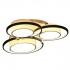 Потолочная люстра Frevoria 10243/6LED
