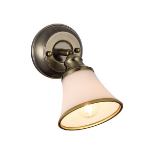 Спот Jasinta FR2272-WL-01-BS
