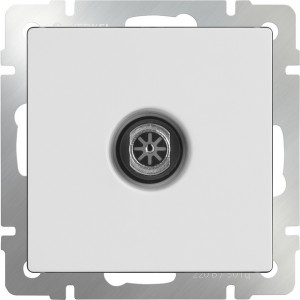 Розетка  WL01-TV-2W