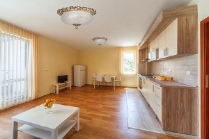 Потолочный светильник Venezia Venezia E 1.13.46 G