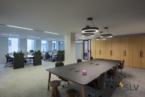 Подвесной светильник MEDO RING 60 DALI 1002890