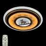 Настенно-потолочный светильник  LED LAMPS 5600