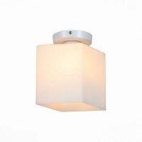 Настенно-потолочный светильник Aspetto SL548.501.01