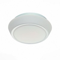 Настенно-потолочный светильник Bagno SL496.502.01