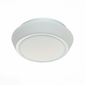 Настенно-потолочный светильник Bagno SL496.502.01