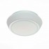 Настенно-потолочный светильник Bagno SL496.502.01