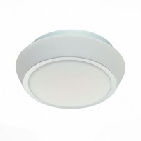 Настенно-потолочный светильник Bagno SL496.502.02