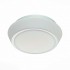 Настенно-потолочный светильник Bagno SL496.502.02