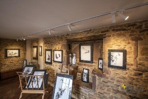 Трековый светильник 1PHASE-TRACK HELIA 50 143581