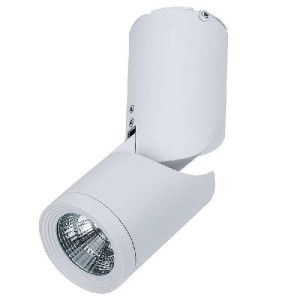 Спот Tube C019CW-01W