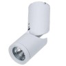 Спот Tube C019CW-01W