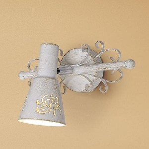 Спот Дункан CL529512