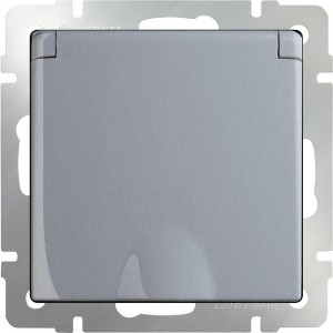 Розетка Серебряный WL06-SKGSC-01-IP44