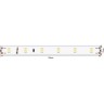 Светодиодная лента LUX DSG360-24-WW-65