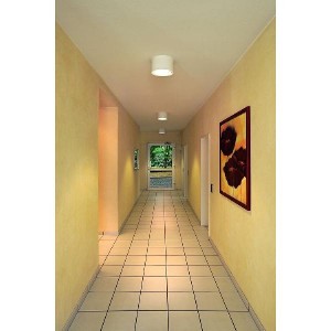 Потолочный светильник Pl 161431