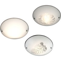Потолочный светильник Buque 40990-18