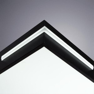 Потолочный светильник Multi-piazza A8091PL-1BK