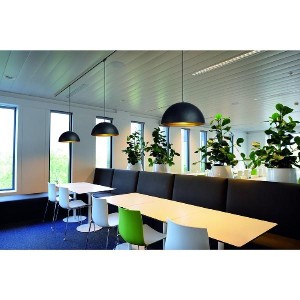 Подвесной светильник Forchini 153130