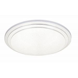 Потолочный светильник Led 10268/S LED