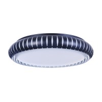 Потолочный светильник Assanta FR6159-CL-36W-B